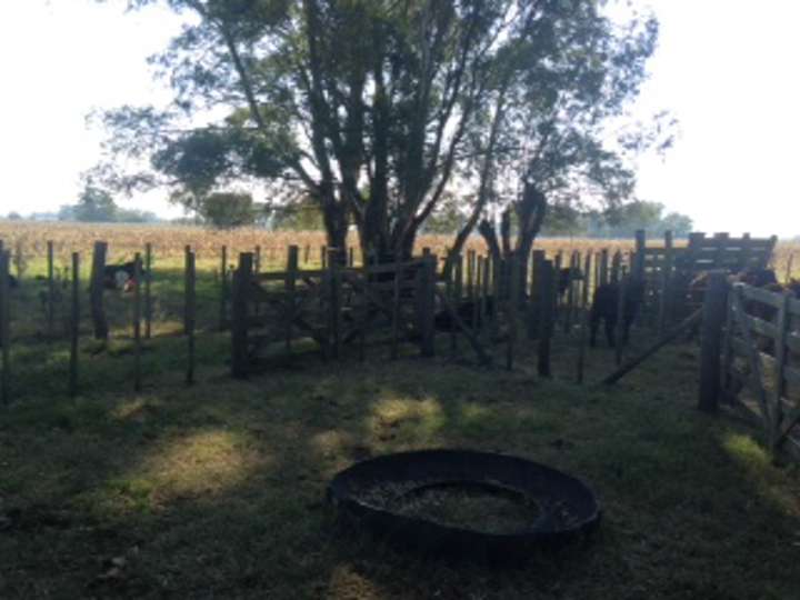 Terreno en venta en Partido de Las Flores, Buenos Aires