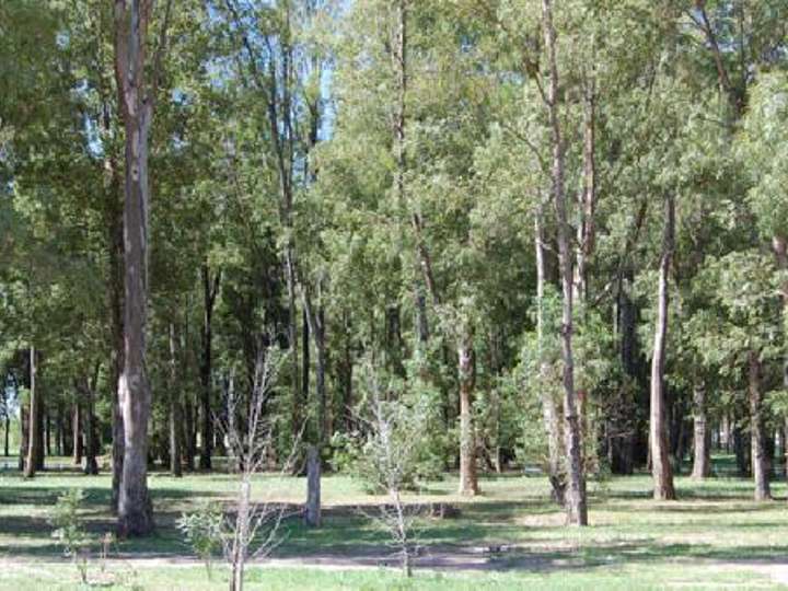 Terreno en venta en Partido de San Vicente, Buenos Aires