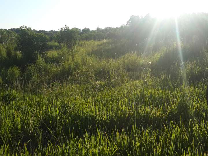 Terreno en venta en Avenida Sarmiento, Municipio de Apóstoles