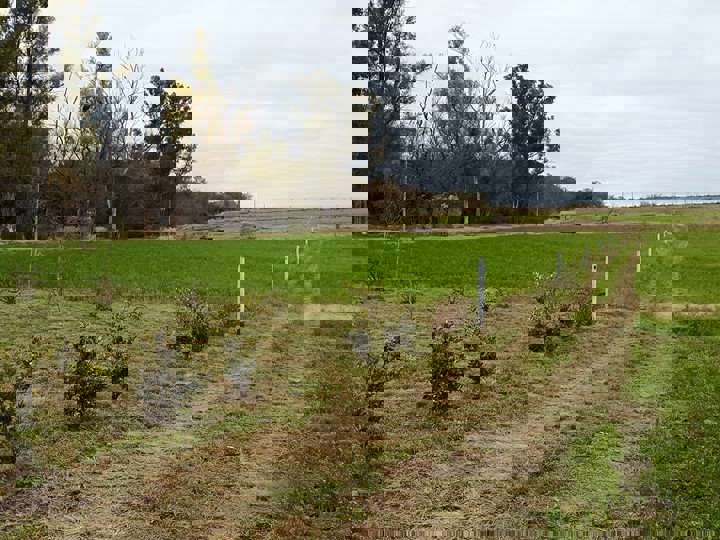 Terreno en venta en Ruta Provincial 11, Entre Ríos