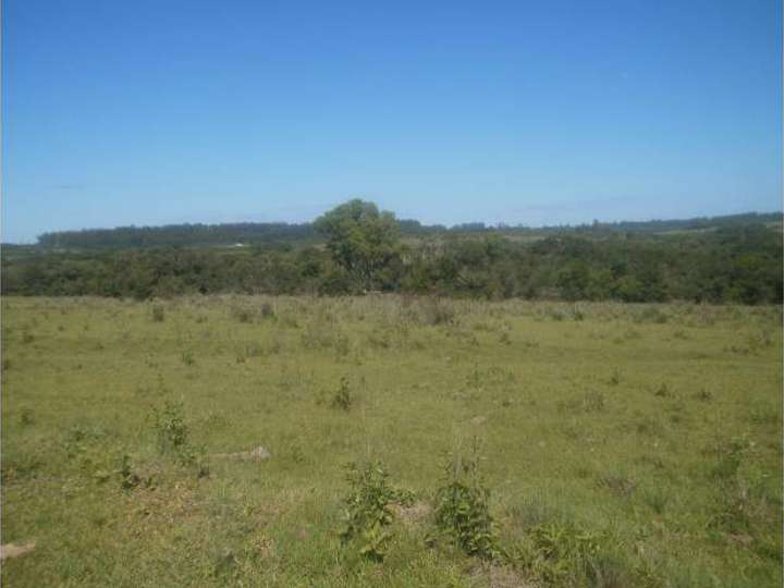 Terreno en venta en Avenida Demetrio Hreñuk, 638, Municipio de Apóstoles