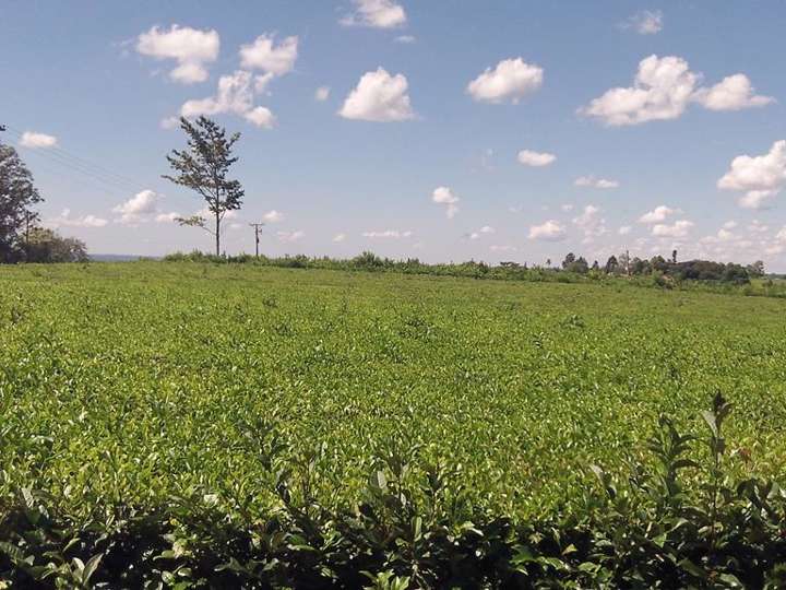Casa en venta en Santa Fe, Oberá