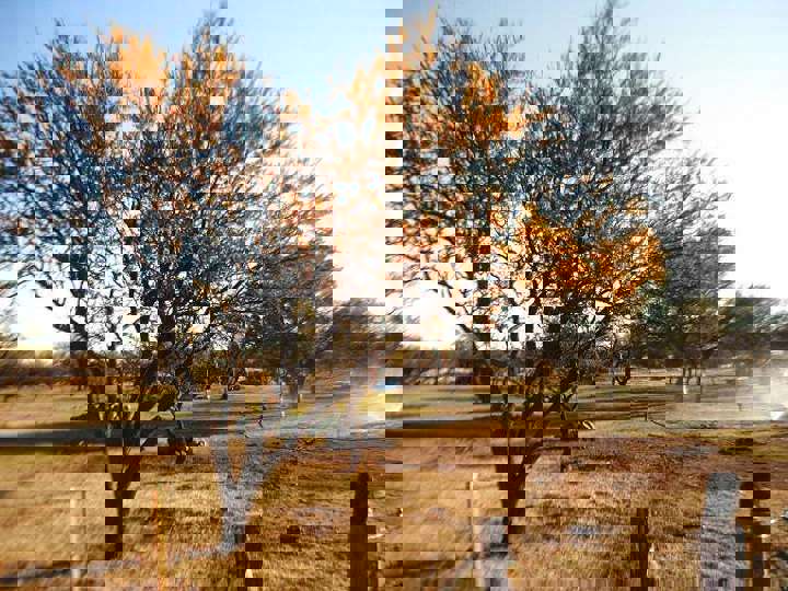 Terreno en venta en Junín, San Luis