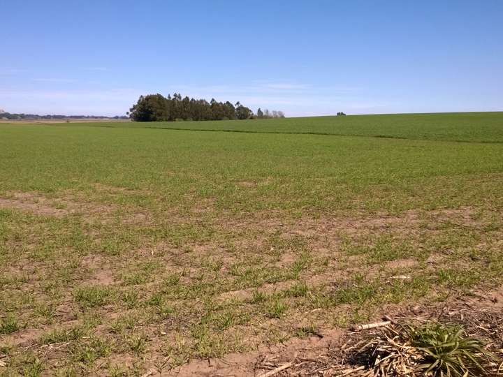 Casa en venta en 20 - Estrada, 1600, San José de Balcarce