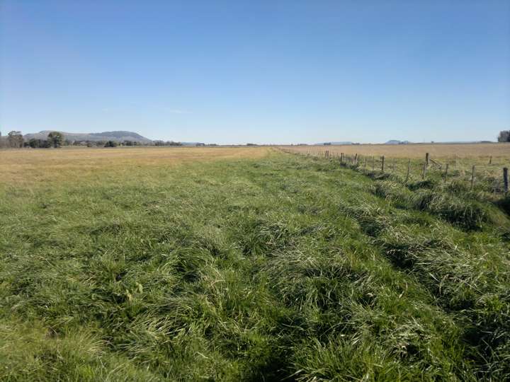Terreno en venta en Partido de Balcarce, San José de Balcarce