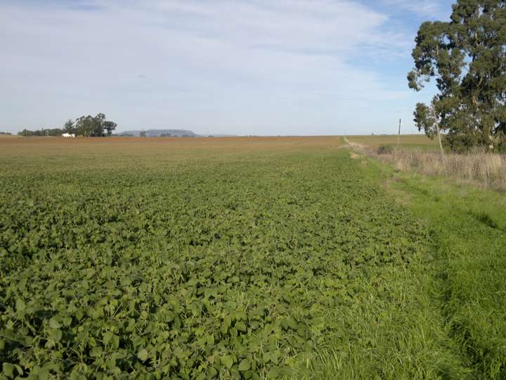 Terreno en venta en Partido de Balcarce, San José de Balcarce