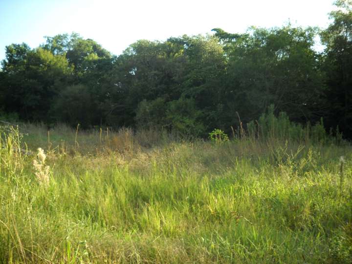 Terreno en venta en Neuquén, 538, Ciudad Autónoma de Buenos Aires