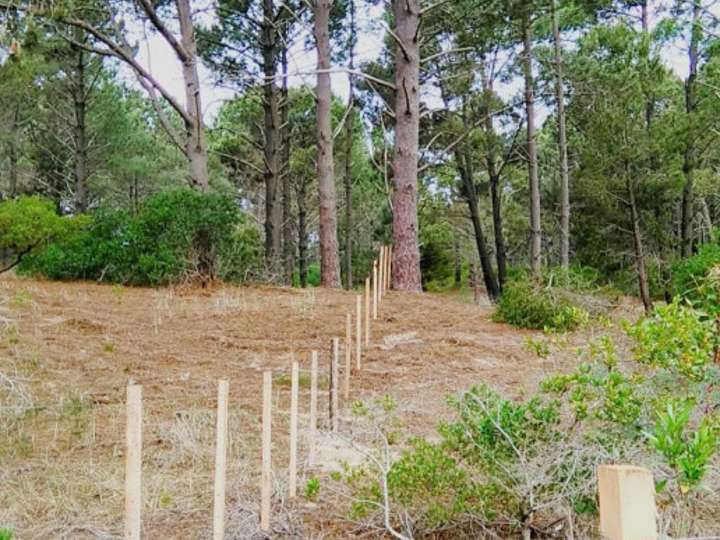 Terreno en venta en Maldonado
