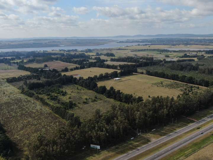 Granja en venta en Maldonado