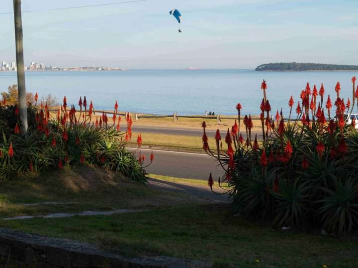 Casa en venta en Punta Del Este