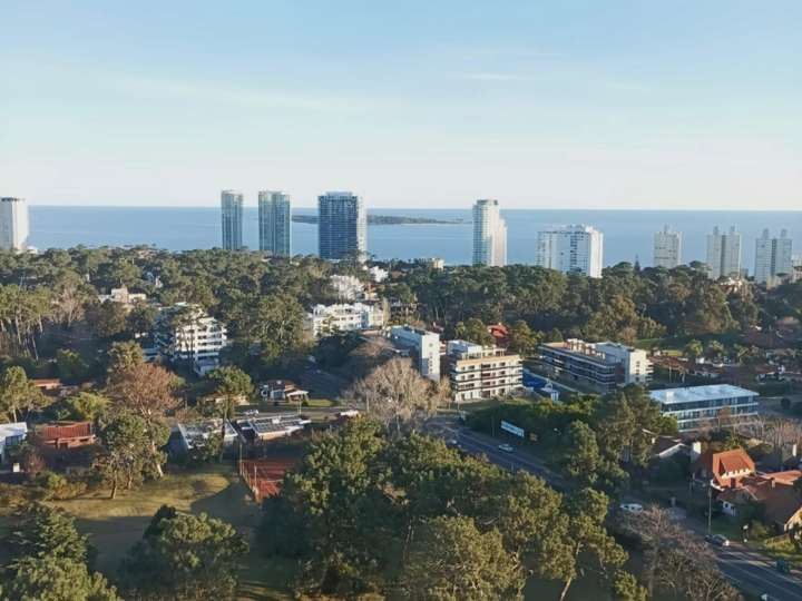 Apartamento en venta en Avenida Franklin Delano Roosevelt, Maldonado