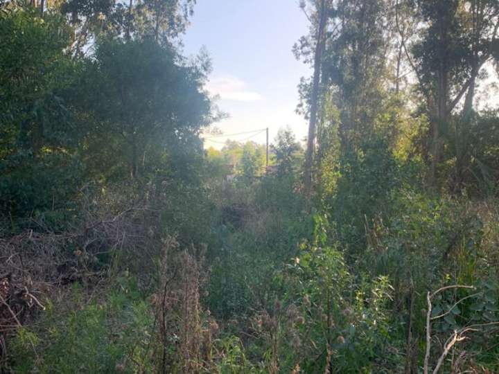 Terreno en venta en Maldonado