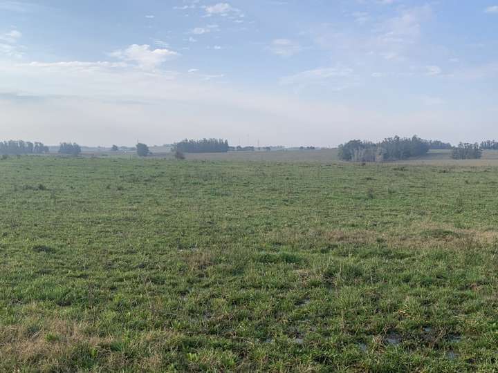 Granja en venta en La Barra