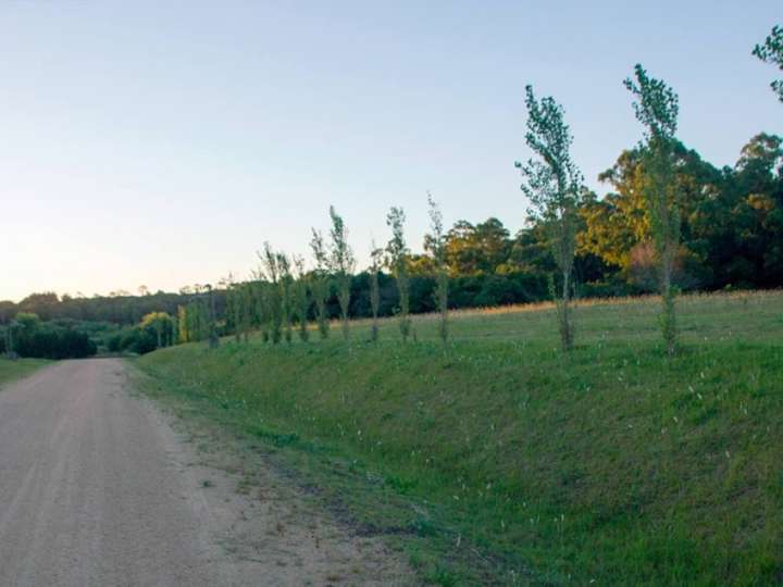 Terreno en venta en El Quijote, Maldonado