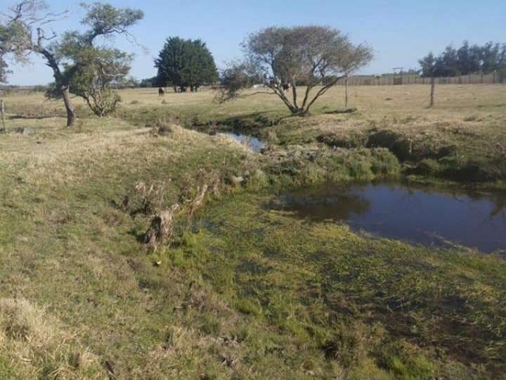 Granja en venta en Maldonado