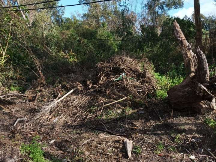 Terreno en venta en El Tesoro