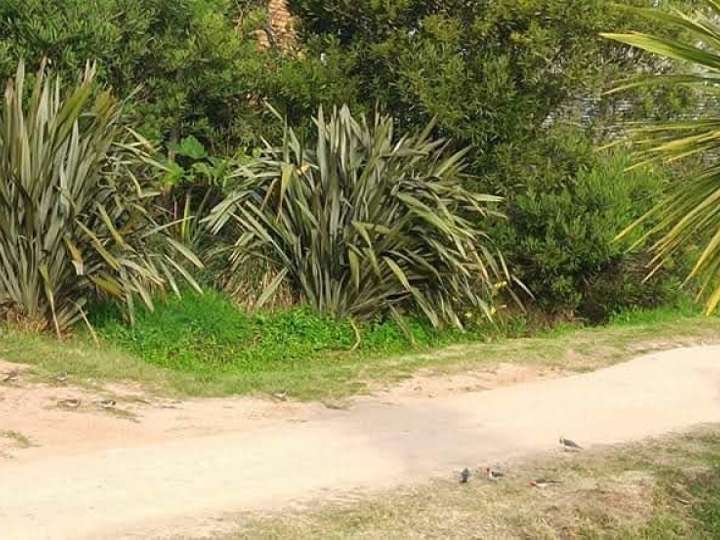 Casa en venta en Maldonado