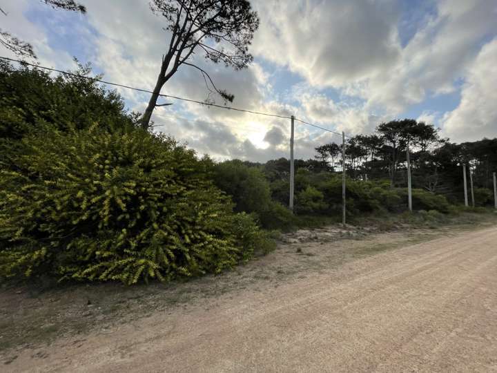 Terreno en venta en Avenida La Mayor, Maldonado