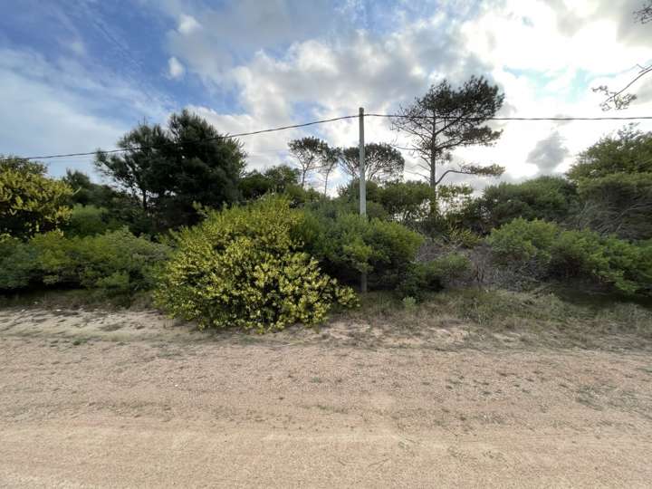 Terreno en venta en Avenida La Mayor, Maldonado