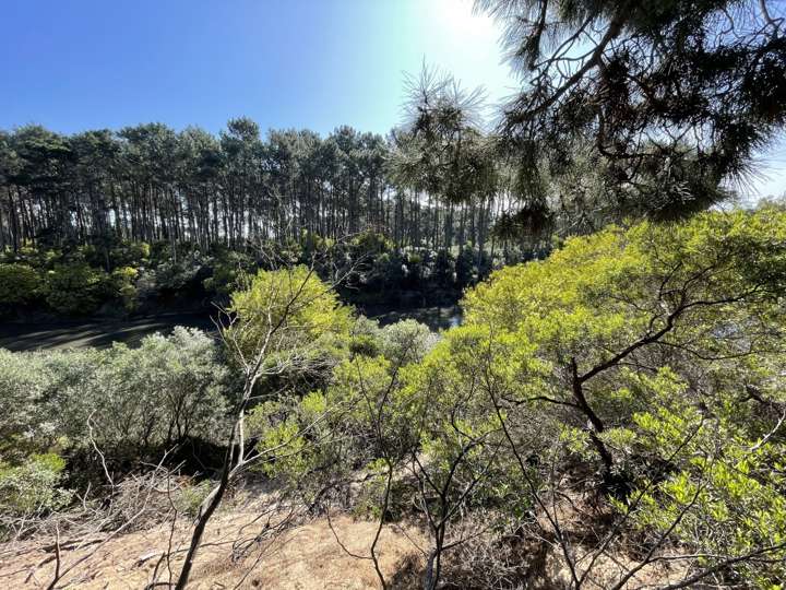 Terreno en venta en Rambla del Portero, Maldonado