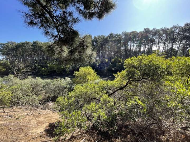 Terreno en venta en Rambla del Portero, Maldonado
