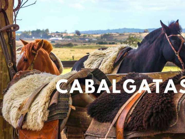 Terreno en venta en Maldonado