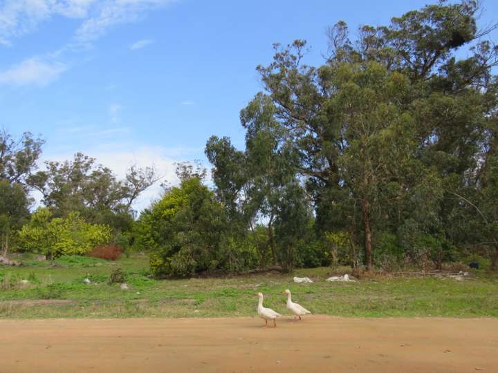 Terreno en venta en Maldonado