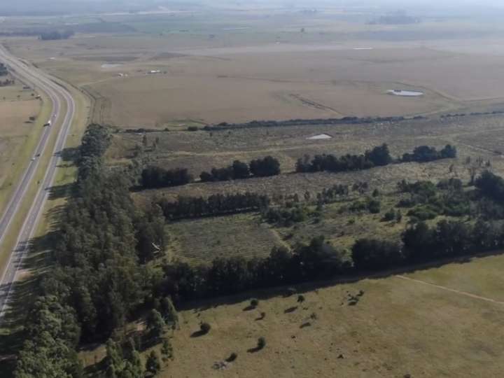 Granja en venta en Pan de Azúcar