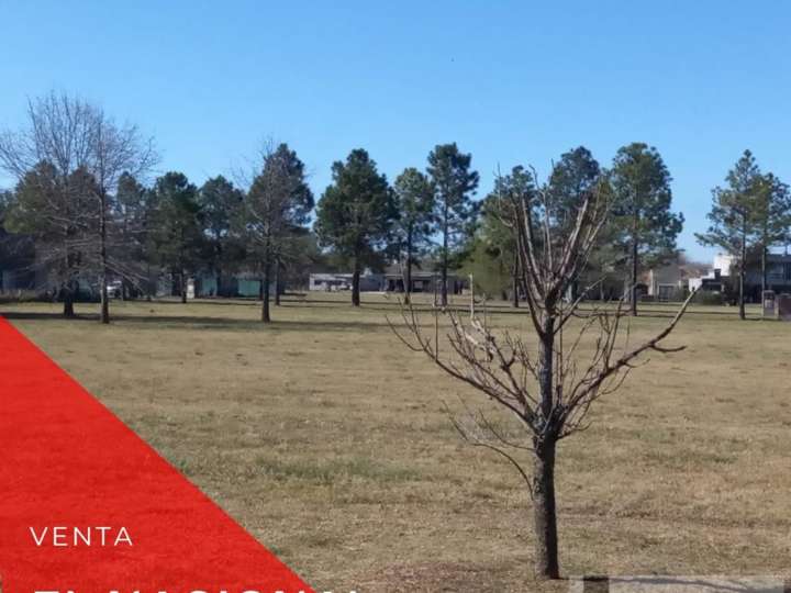 Terreno en venta en Partido de General Rodríguez, Buenos Aires