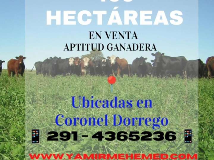 Terreno en venta en Maciel, Coronel Dorrego