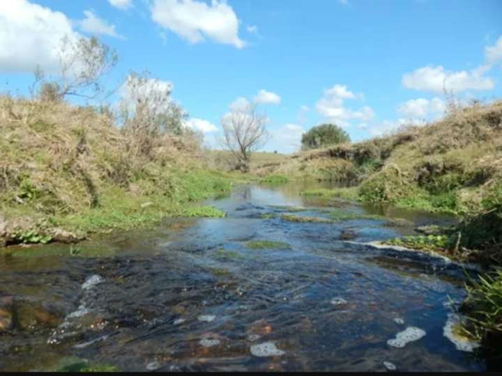 Granja en venta en Ruta 12 Doctor Luis Alberto de Herrera, Lavalleja