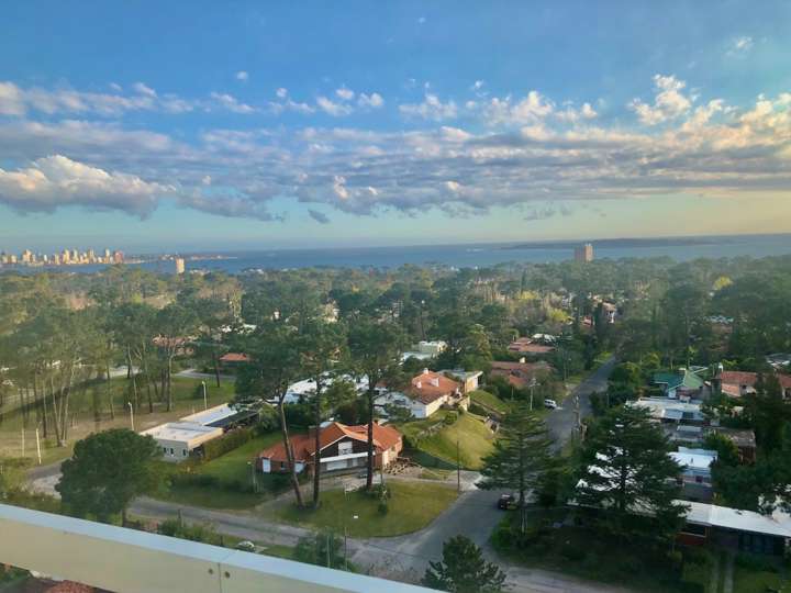 Apartamento en venta en Avenida Franklin Delano Roosevelt, Punta Del Este