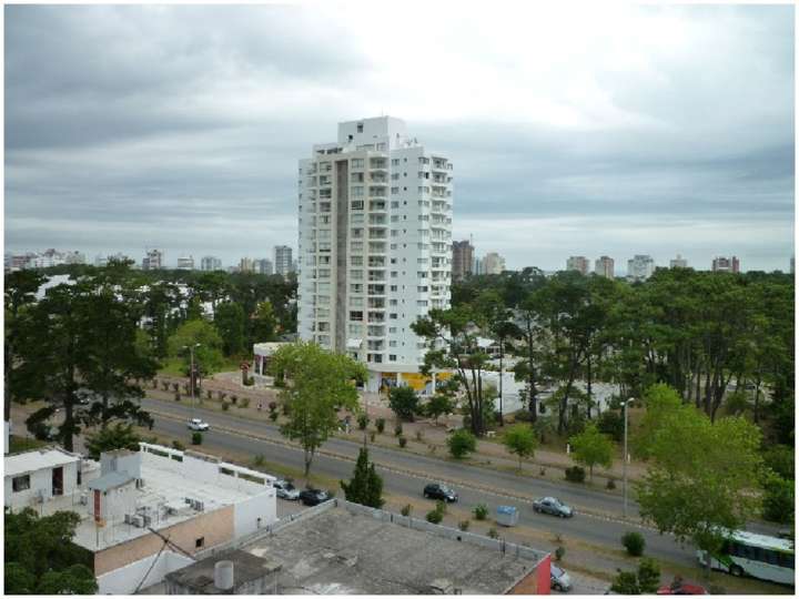 Apartamento en venta en Avenida Franklin Delano Roosevelt, Punta Del Este