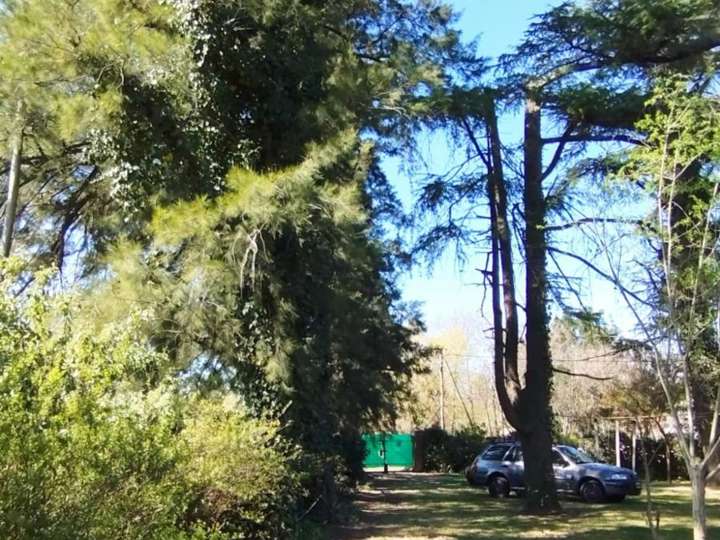 Terreno en venta en Camino de la Ribera, Paso del Rey