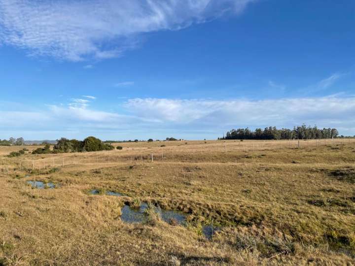 Granja en venta en Maldonado