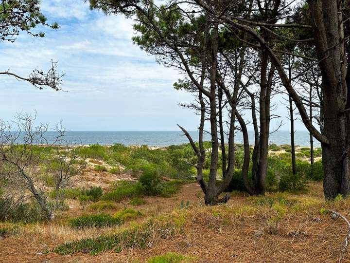 Terreno en venta en Avenida Domingo Faustino Sarmiento, Maldonado