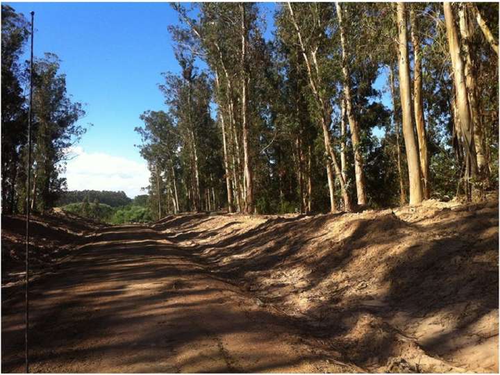 Terreno en venta en Maldonado