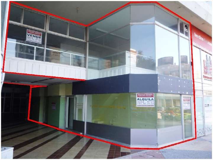 Comercial / Tienda en venta en Maldonado