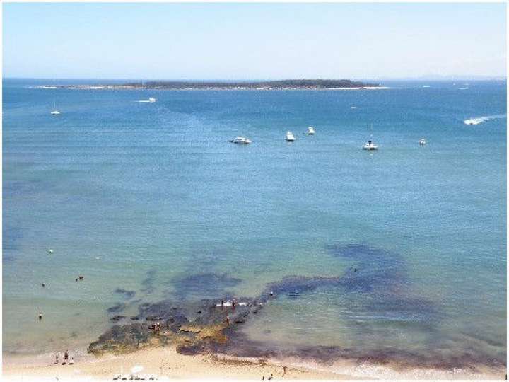 Apartamento en venta en Punta Del Este