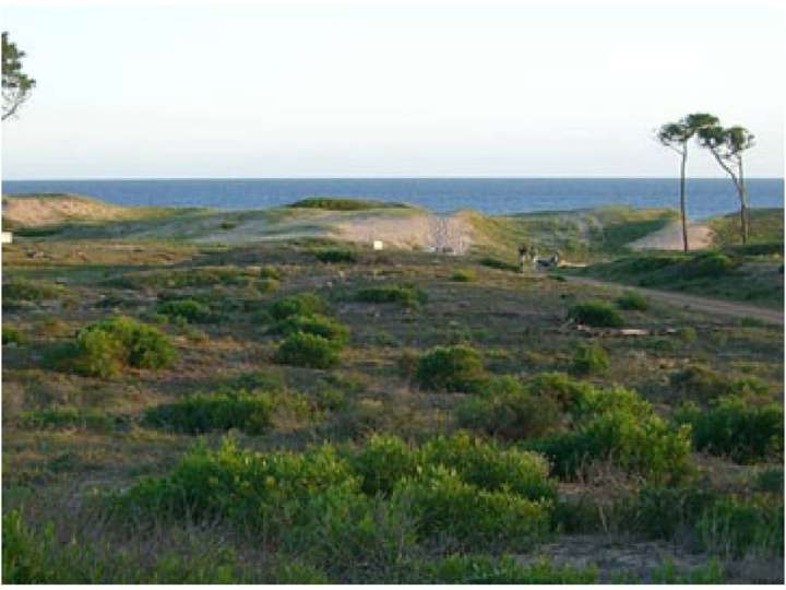 Terreno en venta en Maldonado