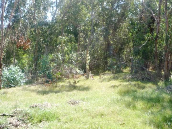 Terreno en venta en Maldonado