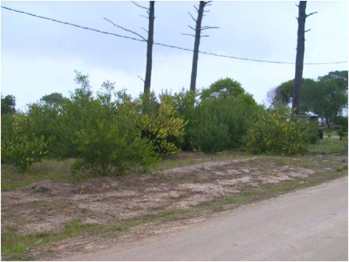 Terreno en venta en Maldonado