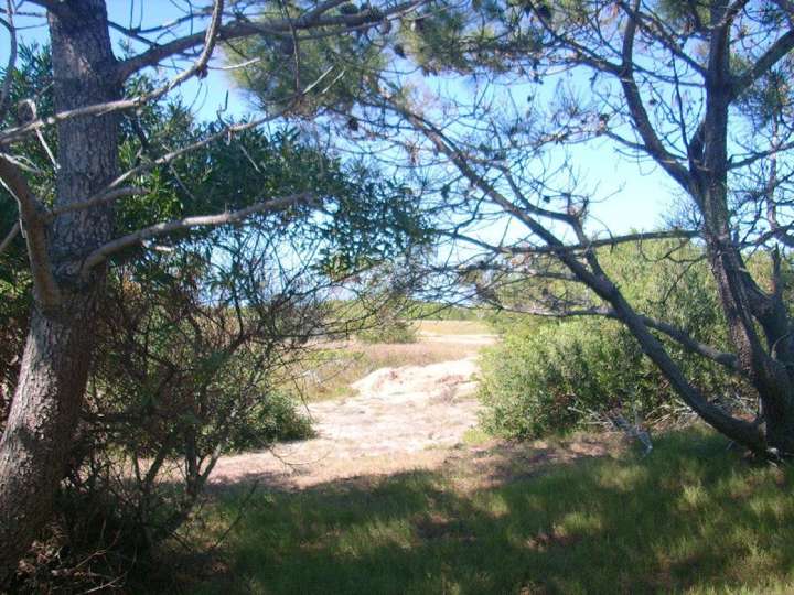 Terreno en venta en Maldonado