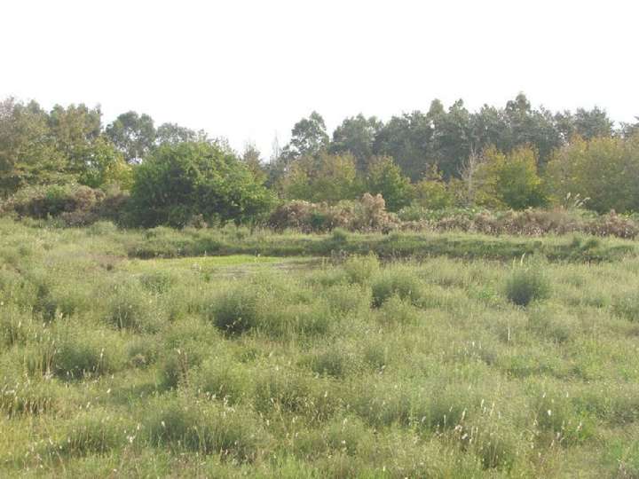 Granja en venta en Maldonado