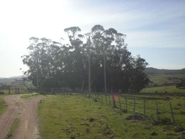 Granja en venta en Maldonado
