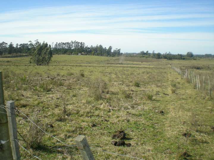 Granja en venta en Maldonado