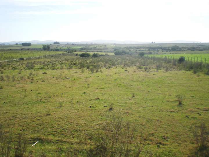 Granja en venta en Maldonado