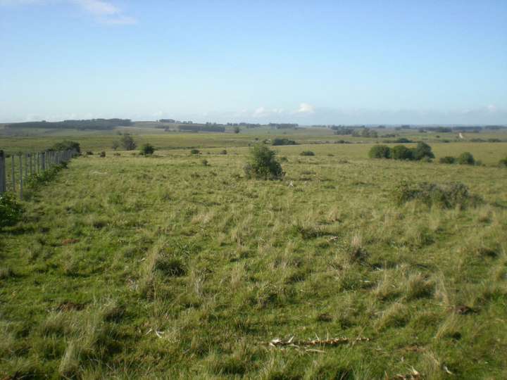 Granja en venta en Maldonado