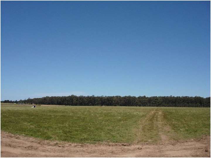 Granja en venta en Maldonado