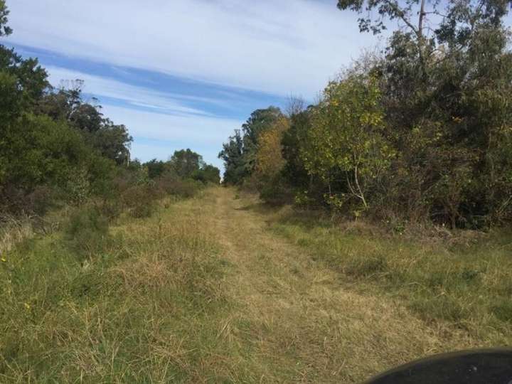 Terreno en venta en Maldonado